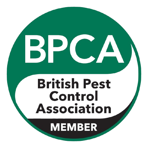 BPCA Member