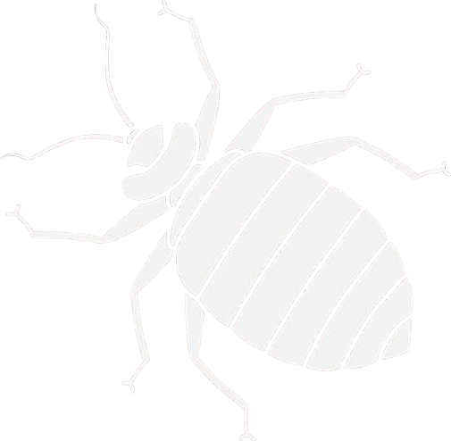 Bed Bug Treatment