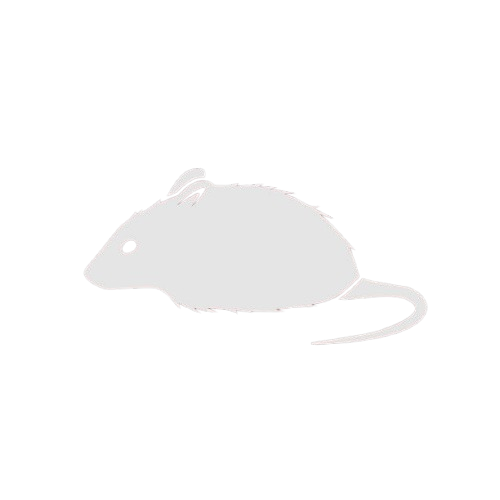 Mice Control