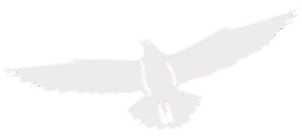 Bird Control