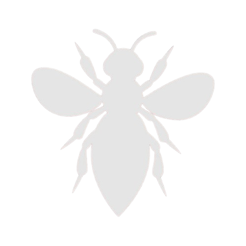 Wasp Nest Removal